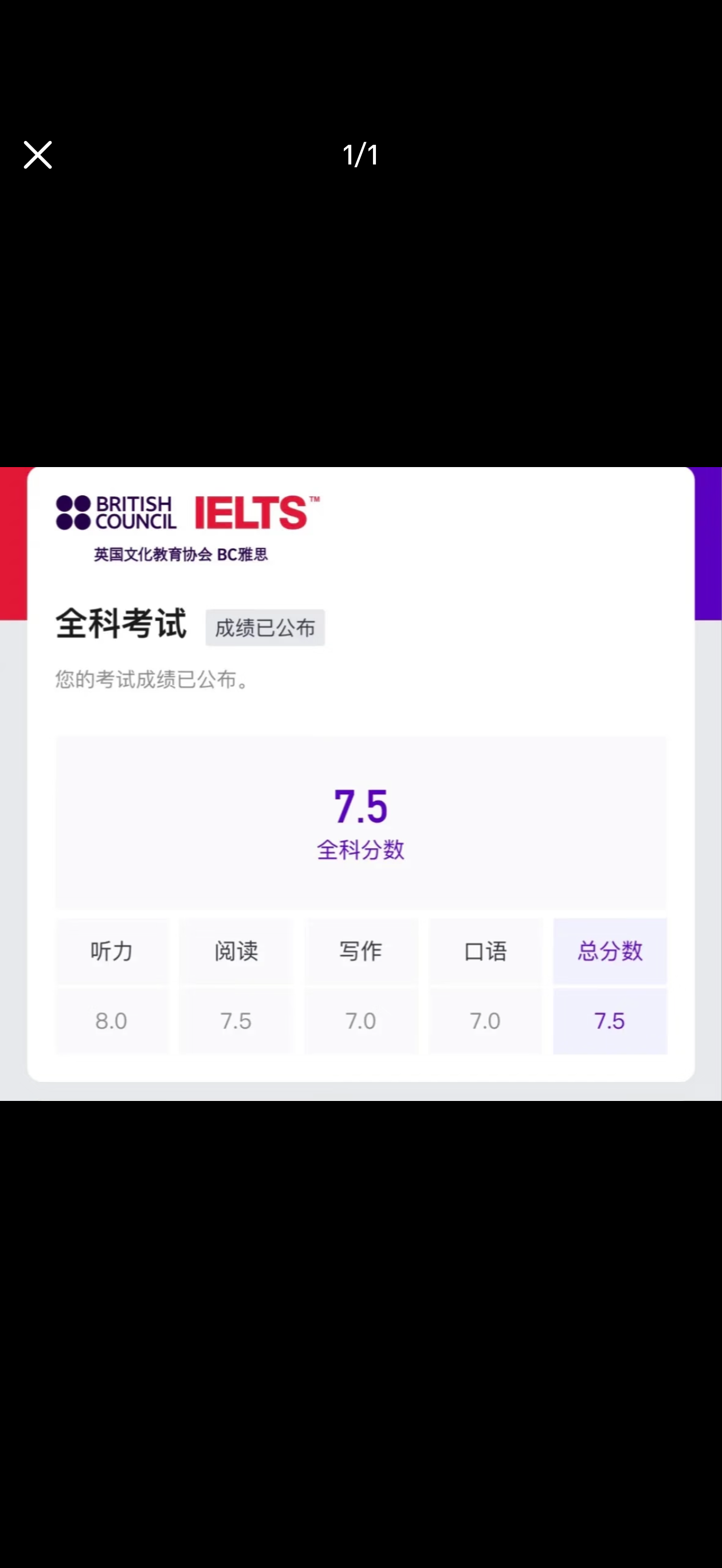 案例证据图片 1